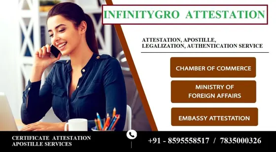 Certificate attestation on the reverse side – character certificate apostille by INFINITYGRO