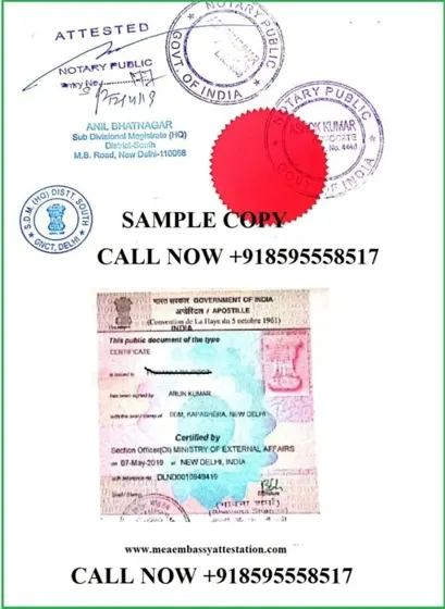 Degree certificate apostille sample – italy apostille by INFINITYGRO