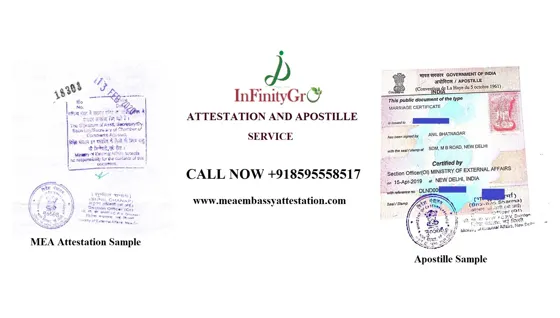 MEA attestation stamp and Apostille sticker – character certificate apostille by INFINITYGRO