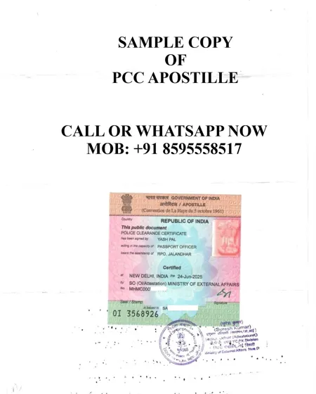 PCC apostille sample – PCC apostille in Kerala